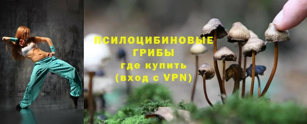 сатива Богородицк
