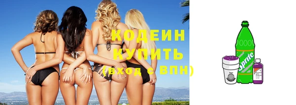 амф Бородино