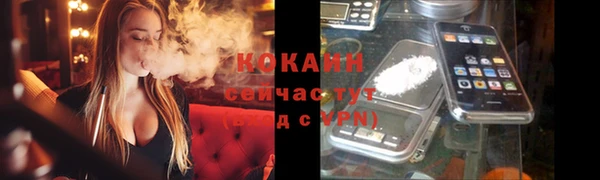 ALPHA PVP Богданович