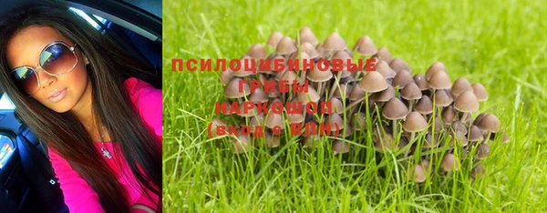 не бодяженный Богородск