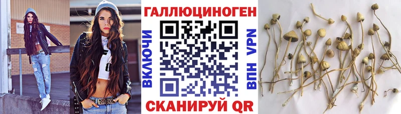 Галлюциногенные грибы Cubensis  Тюмень 